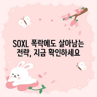 SOXL 폭락에 대비하기 | 변동성 관리 및 살아남기 전략