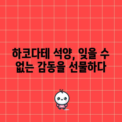 하코다테 숨겨진 석양 명소 | 노을의 매력 탐방