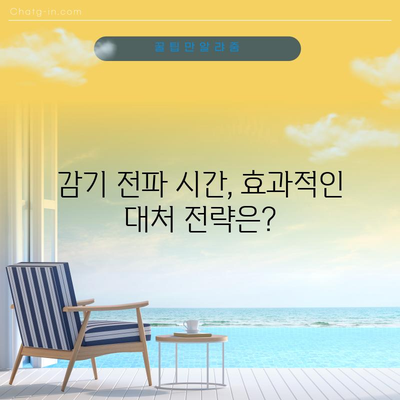 감기 전파 고지대 | 시간대 파악법