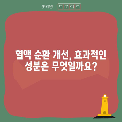 혈액 순환 개선 영양제 선택 가이드 | 5가지 필수 체크포인트