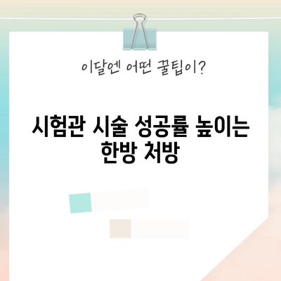 한방을 활용한 시험관 아기 준비 가이드