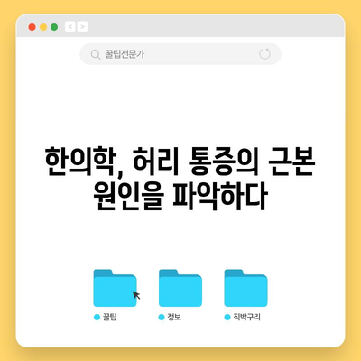 허리통증과 디스크 악화 예방을 위한 한의학적 치료