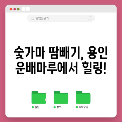 숯가마에서의 땀빼기 경험 후기 | 용인 운배마루