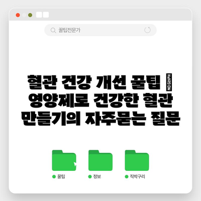 혈관 건강 개선 꿀팁 | 영양제로 건강한 혈관 만들기