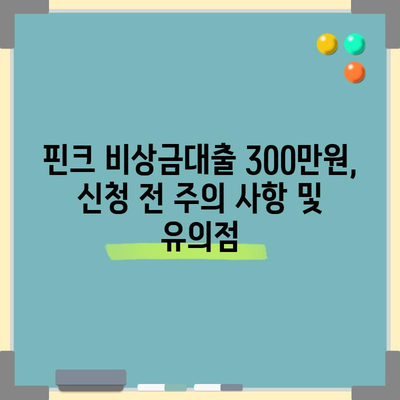 핀크 비상금대출 300만원 신청하는 법