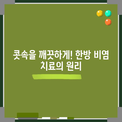 한방 비염 치료법 | 천연제제 및 완화 방법