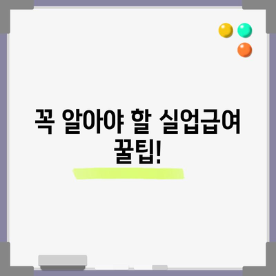 실업급여 신청 안내서 | 철저한 가이드