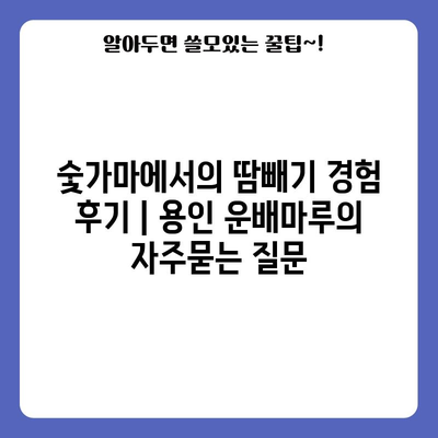 숯가마에서의 땀빼기 경험 후기 | 용인 운배마루