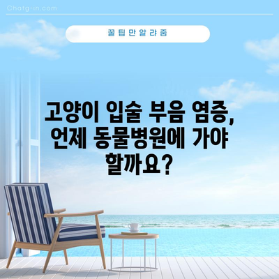 고양이 입술 부음 염증 대처법, 원인과 치료 방법