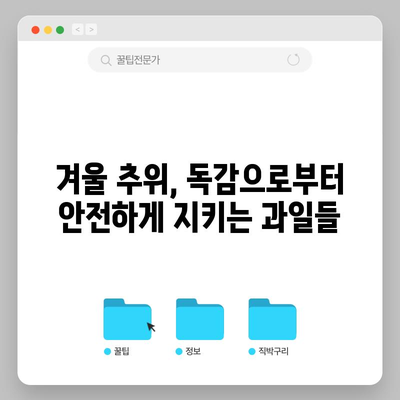 겨울 건강 지키기 | 독감 예방과 면역력 강화 과일