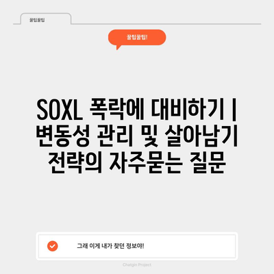 SOXL 폭락에 대비하기 | 변동성 관리 및 살아남기 전략