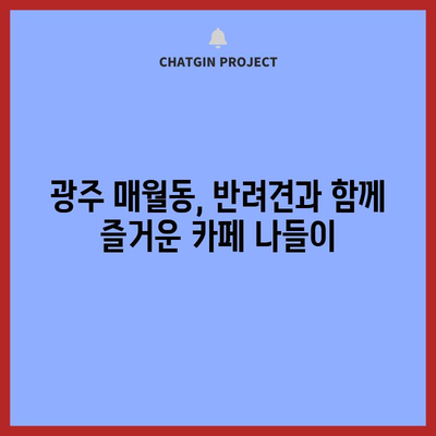 광주 매월동 애견 동반 카페 추천 | 인기 5곳 탐방