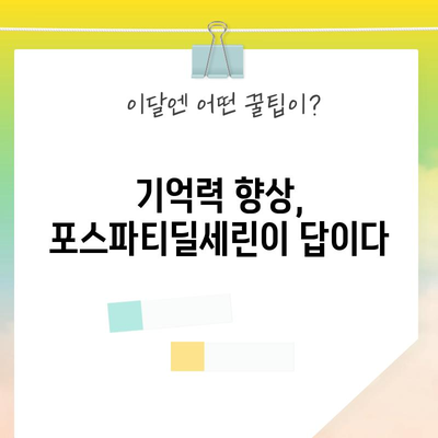 산만한 머리를 위한 포스파티딜세린 | 집중력과 기억력 향상