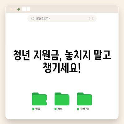 청년 지원금 종류와 신청 방법