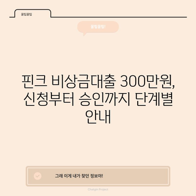 핀크 비상금대출 300만원 신청하는 법