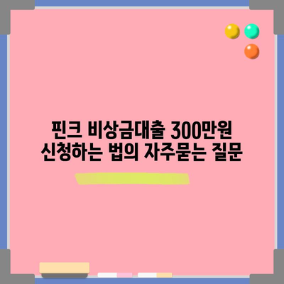 핀크 비상금대출 300만원 신청하는 법