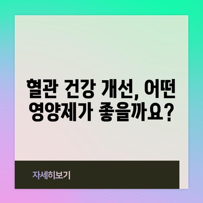 혈관 건강 개선 꿀팁 | 영양제로 건강한 혈관 만들기