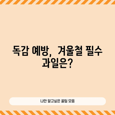 겨울 건강 지키기 | 독감 예방과 면역력 강화 과일