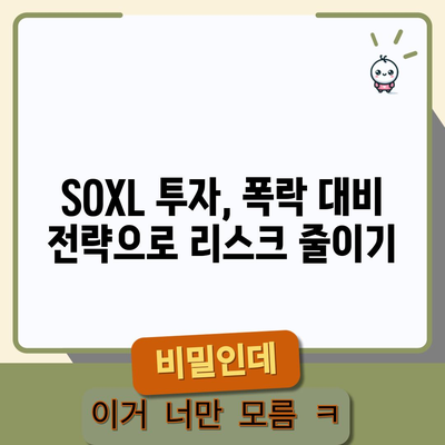 SOXL 폭락에 대비하기 | 변동성 관리 및 살아남기 전략