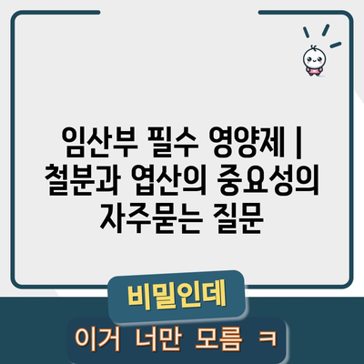 임산부 필수 영양제 | 철분과 엽산의 중요성