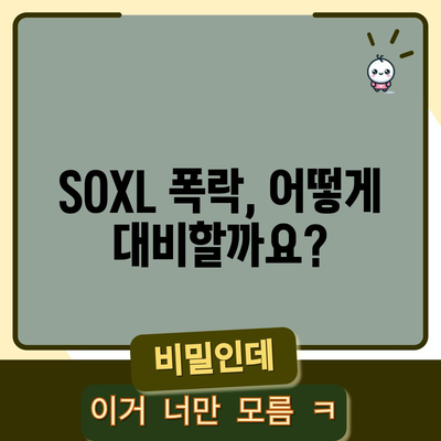 SOXL 폭락에 대비하기 | 변동성 관리 및 살아남기 전략