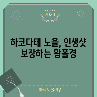 하코다테 숨겨진 석양 명소 | 노을의 매력 탐방