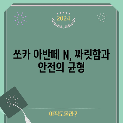 쏘카 아반떼 N | 과속 주의보와 안전 운전 팁