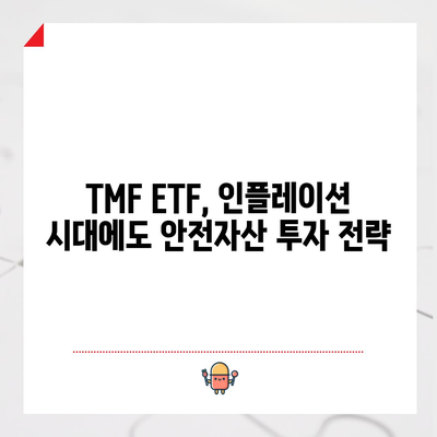 20년 이상 만기 미국 국채 투자 | TMF ETF의 활용 가능성