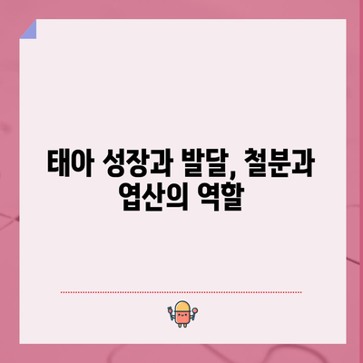 임산부 필수 영양제 | 철분과 엽산의 중요성