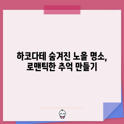 하코다테 숨겨진 석양 명소 | 노을의 매력 탐방