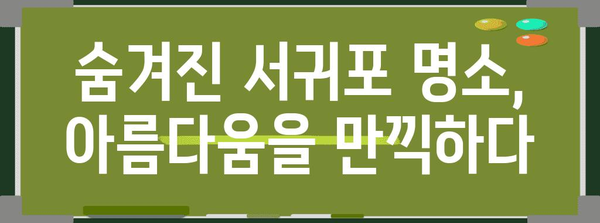 봄날 제주도 여행코스 | 서귀포 4월 축제와 숨겨진 명소