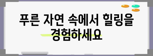 포천의 숨겨진 천국! 늘푸른허브펜션에서 휴식을 만끽하세요