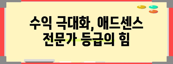 애드센스 수익화 전문가 등급 획득 비밀 공개