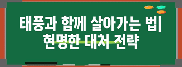 태풍