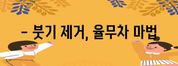 율무차 효능과 복용법 | 주의사항까지 꼼꼼히