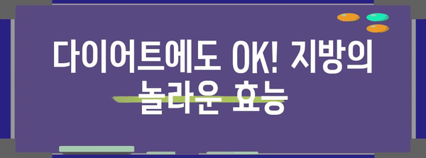 지방 쓰는 법