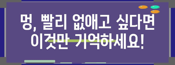 멍과 피멍 신속 제거 5가지 꿀팁 | 집에서 손쉽게 멍 없애기