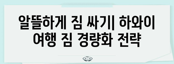 하와이 여행 필수품 짐 싸는 프로처럼! 꿀팁 리스트 대방출