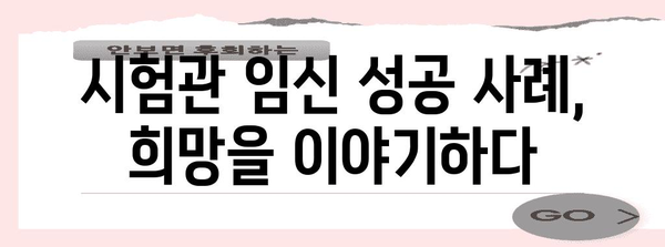 시험관 임신 성공 비결과 성공 사례