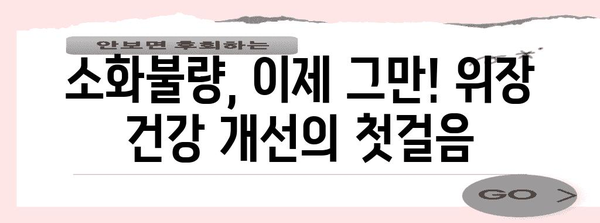 위장 건강 개선 가이드 | 소화 문제 종식