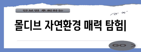 몰디브 자연환경의 매력| 푸른 바다, 하얀 백사장, 그리고 풍부한 생태계 | 몰디브 여행, 자연, 관광, 생태