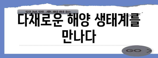 몰디브 자연환경의 매력| 푸른 바다, 하얀 백사장, 그리고 풍부한 생태계 | 몰디브 여행, 자연, 관광, 생태