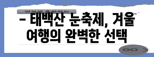 태백산 눈축제, 겨울의 아름다움에 취하다