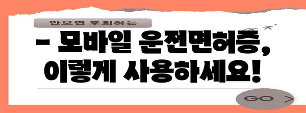 모바일 운전면허증 사용 가이드 | 전국 발급 현황, 사용처, 주의사항