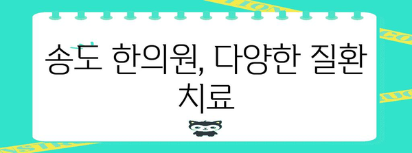 건강한 삶으로 돌아오는 송도 한의원 가이드