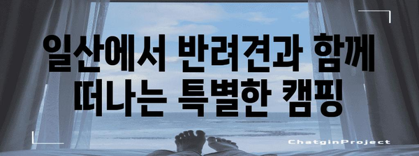 반려견과 도심 캠핑 | 일산에서 즐기는 야외 활동