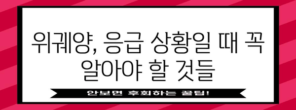 위궤양 응급 상황 대처법 | 애플리케이션과 즉각적인 도움