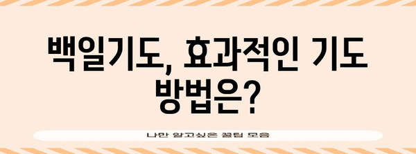 수능 백일기도, 효과적인 기도 방법과 성공 사례 | 수능, 기도, 합격, 성공, 백일기도, 기도문, 효능