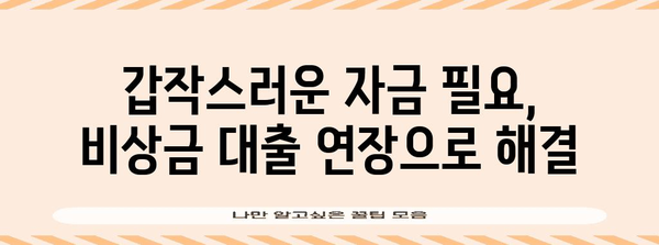 재무적 유연성 확대 | 카카오뱅크 비상금 대출 연장 가능성 탐구