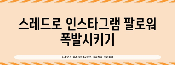 인스타그램 팔로워 증가 마법 | 스레드 활용 전략